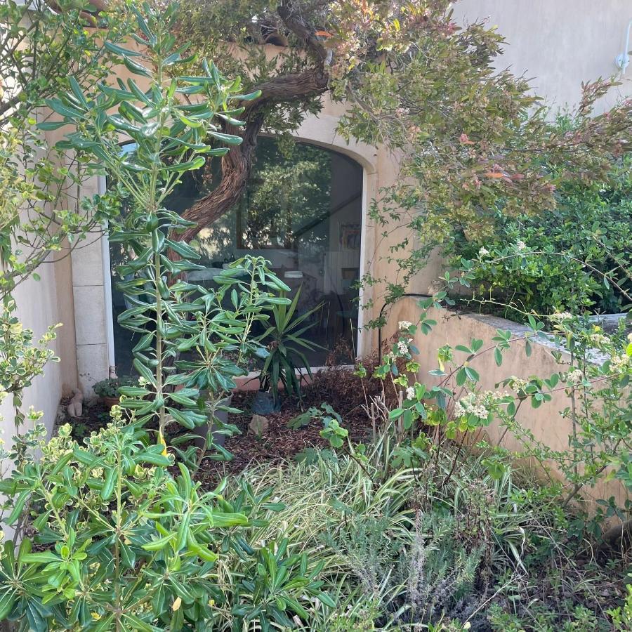 ホテル Maison D'Hotes Le Boulou サン・シル・シュル・メール エクステリア 写真